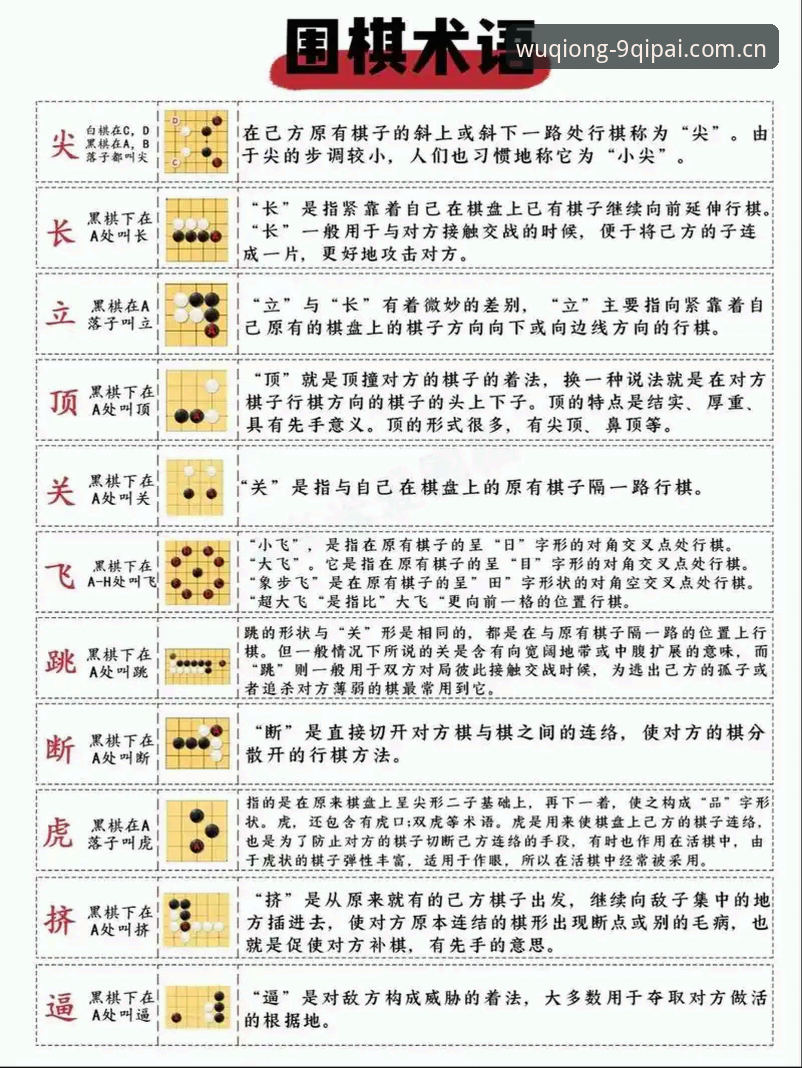 棋牌真人娱乐推荐实用指南:从新手到高手的必备知识